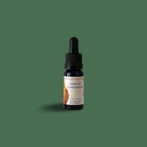 14. CROWN OF CONSCIOUSNESS LTOE 15 ML