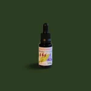 DEFENDER OF THE LIGHT LTOE 15ML