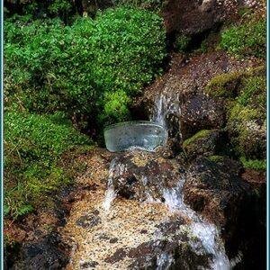 ROCK SPRINGS - Source d'eau de roche