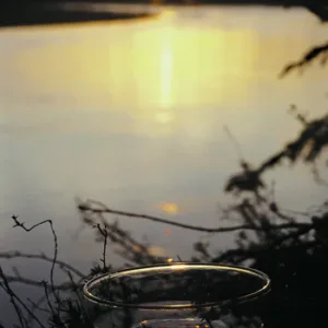 SOLSTICE SUN
