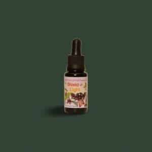 SHIELD OF LIGHT - LTOE