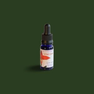 69. VITAL CORE LTOE 15ML