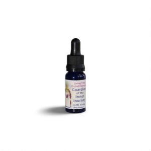Protecteur du voyage intérieur 15 ml