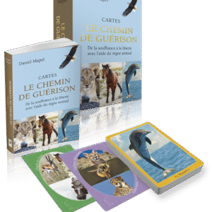 CARTES DU CHEMIN DE GUERISON
