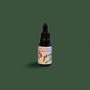 CELESTIAL DEFENDER LTOE 15 ML