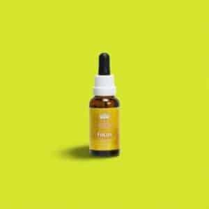 FOCUS Concentration BUSH 30ml