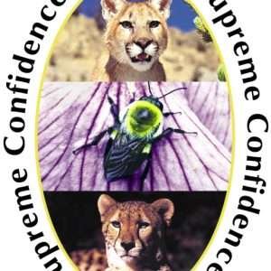 SUPREME CONFIDENCE WEA 30 ML