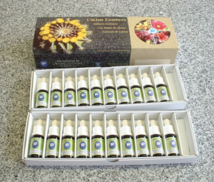 COFFRET 20 élixirs de CACTUS 15 ML