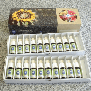 COFFRET 20 élixirs de CACTUS 15 ML