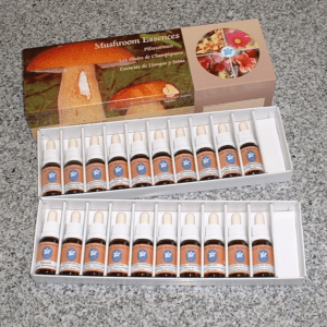 COFFRET 20 Elixirs de CHAMPIGNONS 15 ML PHI