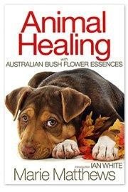 ANIMAL HEALING BUSH ESSENCES