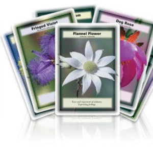 JEU CARTES AUSTRALIE en angais