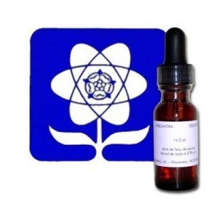 V-1 PERELANDRA 14.2ML