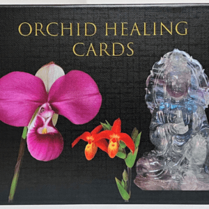 Cartes LTOE Grang modèle