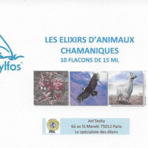 COFFRET 10 ANIMAUX CHAMANIQUES 15ML