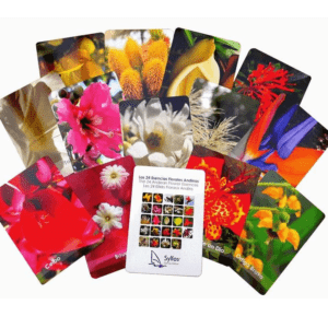 Cartes des 24 élixirs andins