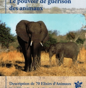 Le pouvoir de guérison des animaux A. Korte