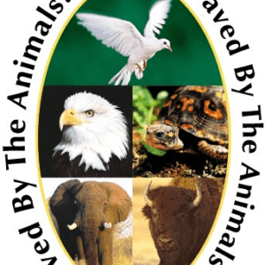 SAVED BY THE ANIMALS 30 ML