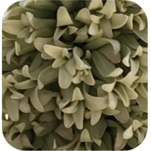 ARBOL DE JOSUE 15 ML SYLFOS