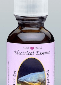 ELECTRIC EEL WEAE 30ML Anguille élec
