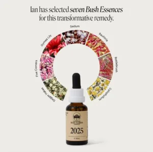 2025 Essence Bush australien 30ml