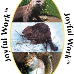 JOYFULWORK WEA 30 ML