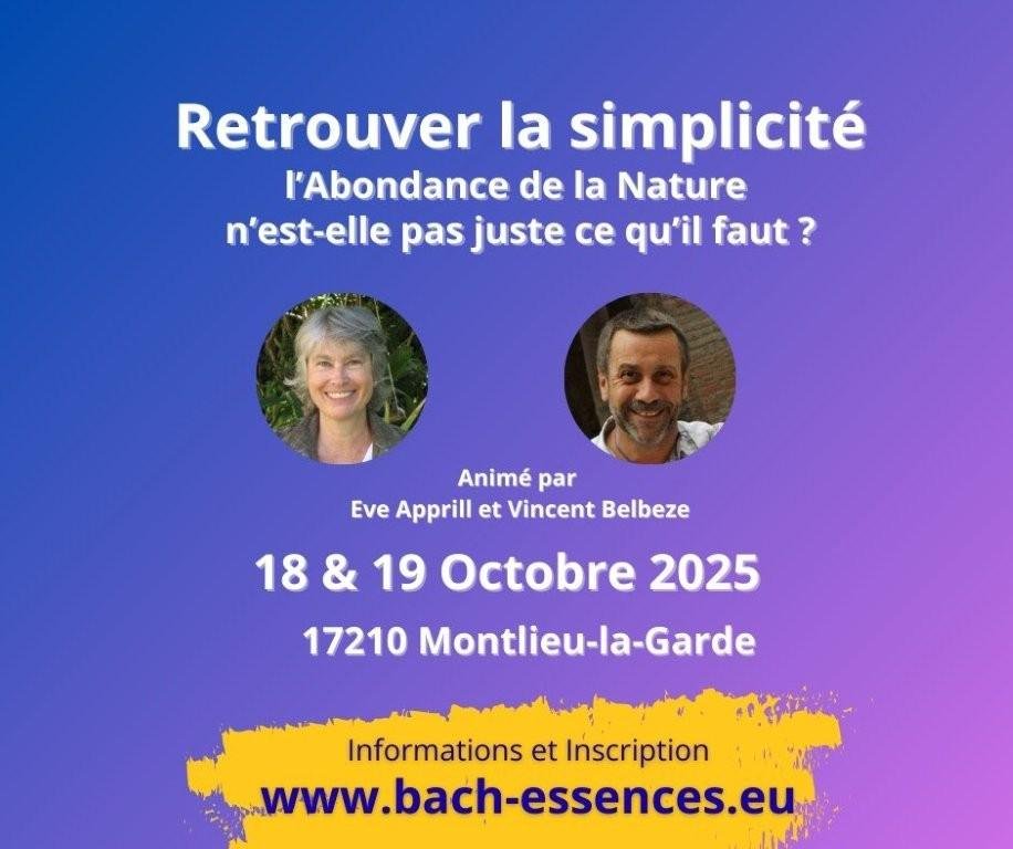 webinaire retrouver la simplicité