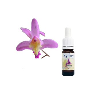 01. ORCHIDÉE DE L’HARMONIE Sylfos