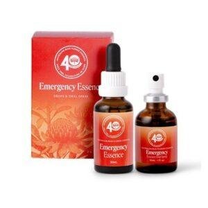 Pack emergency Bush australien