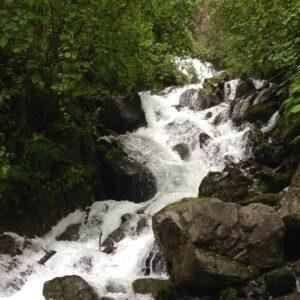 Cascade "Waterfall" Alaskan Essences<span> - </span>30 ml