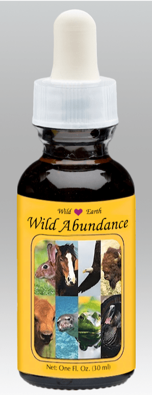 Wild Abundance - Abondance sauvage WEAE 30ml